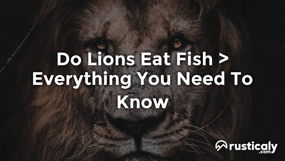 do lions eat fish