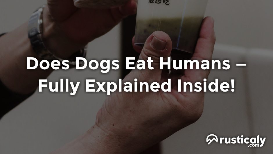 does dogs eat humans