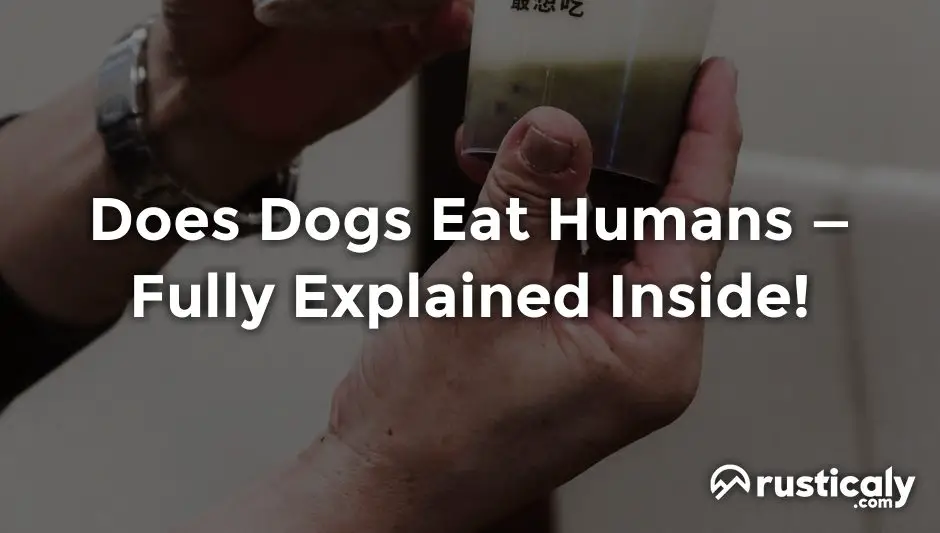 does dogs eat humans