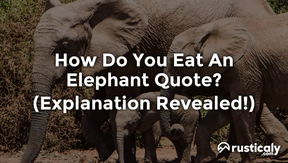 how do you eat an elephant quote