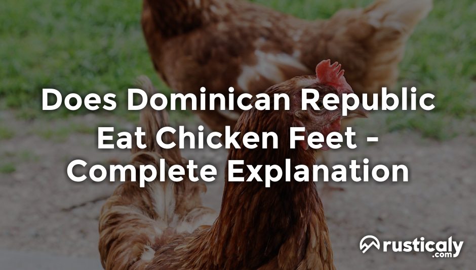 does dominican republic eat chicken feet