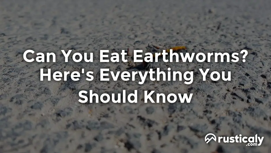 can you eat earthworms