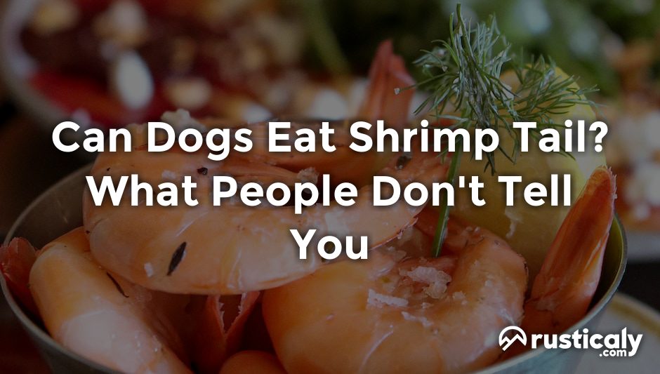can dogs eat shrimp tail