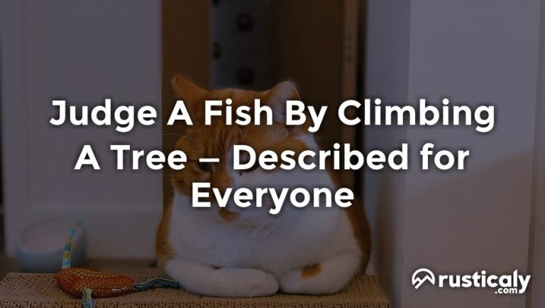 judge a fish by climbing a tree