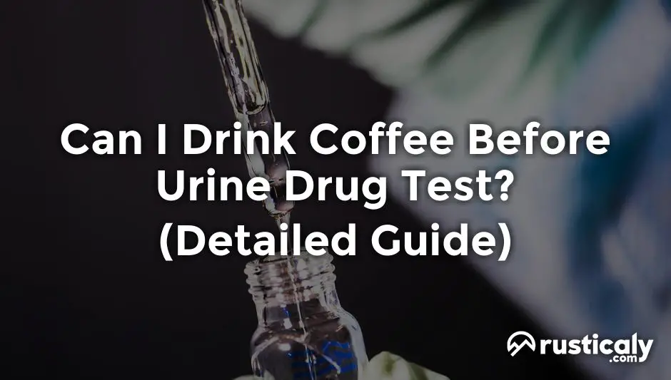 can i drink coffee before urine drug test