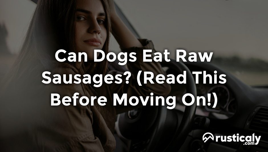 can dogs eat raw sausages