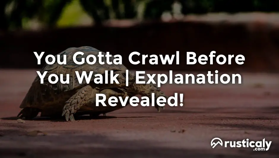 you gotta crawl before you walk