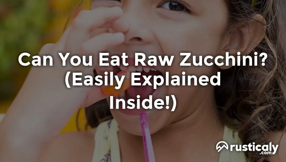 can you eat raw zucchini