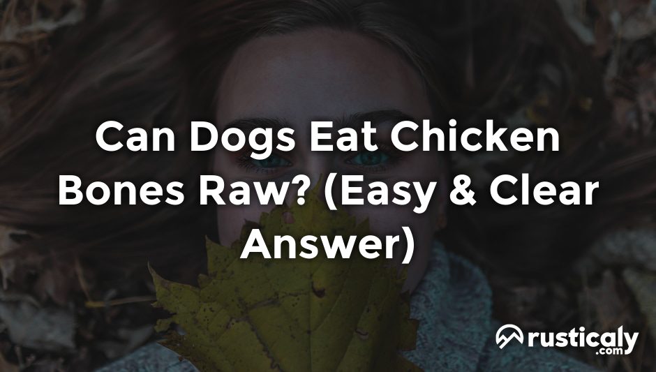 can dogs eat chicken bones raw