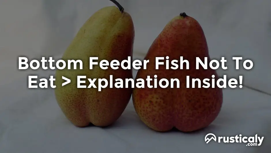 bottom feeder fish not to eat