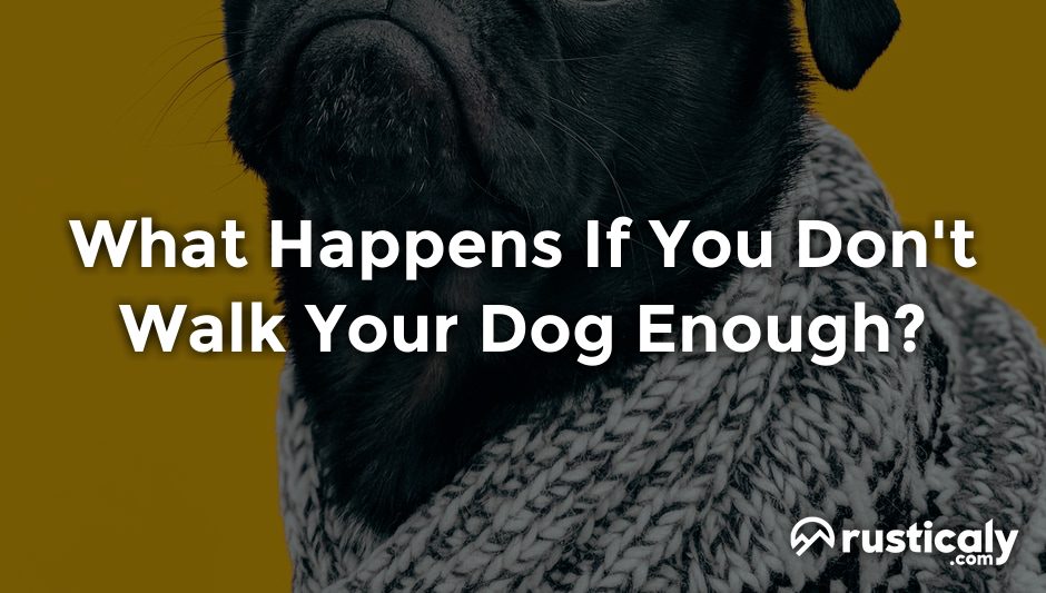 what happens if you don't walk your dog enough
