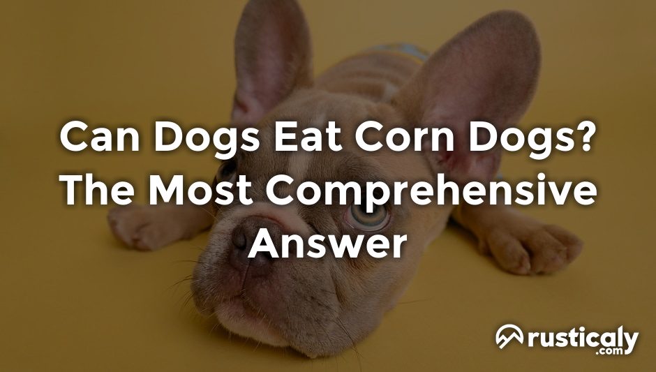 can dogs eat corn dogs