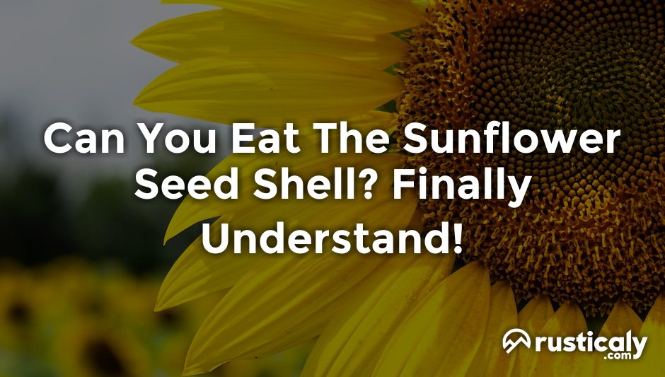 can you eat the sunflower seed shell