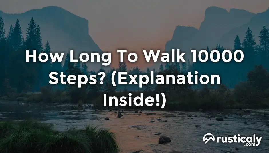 how long to walk 10000 steps