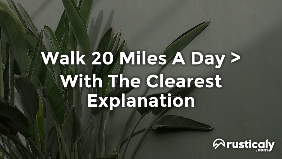 walk 20 miles a day