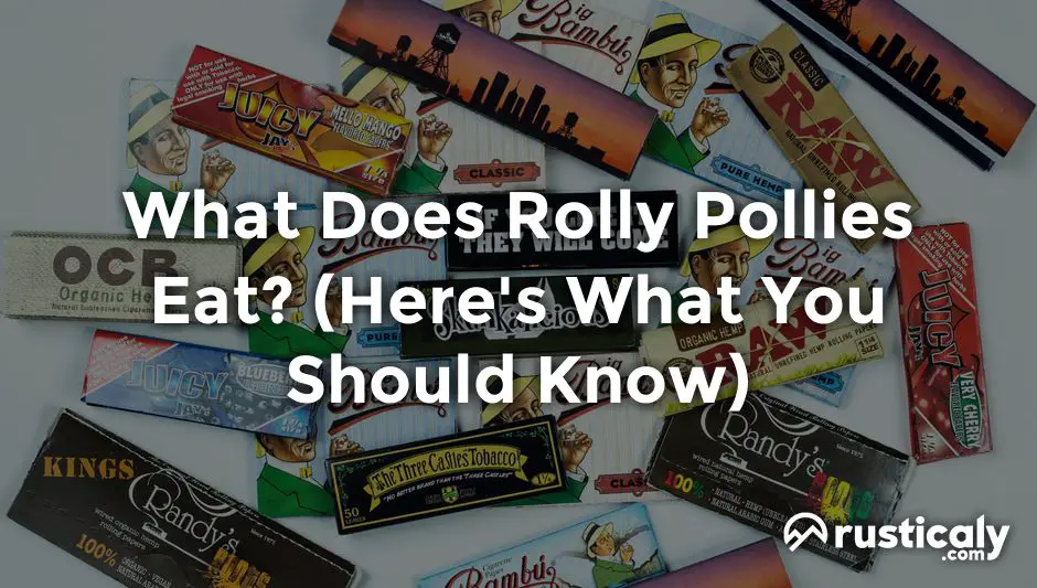 what does rolly pollies eat