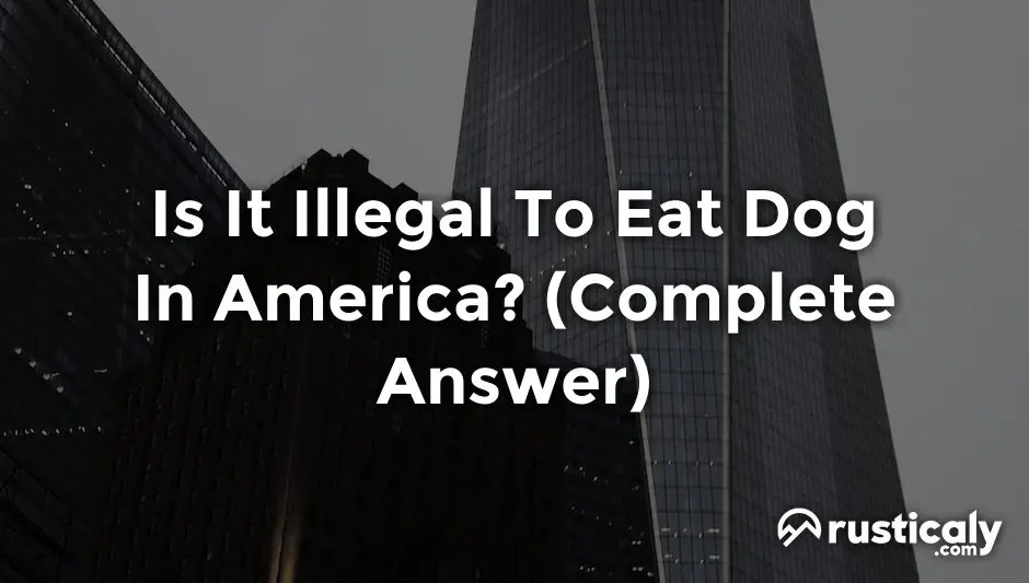 is it illegal to eat dog in america