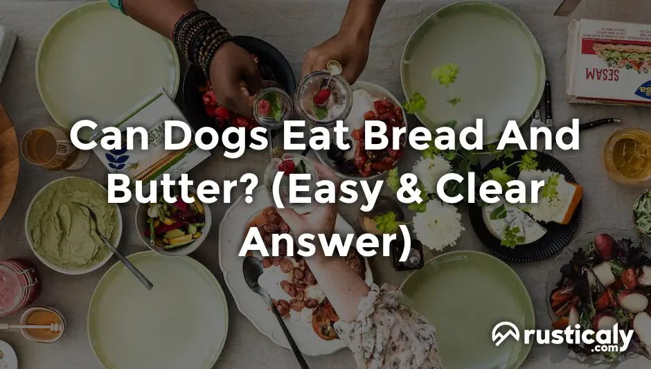 can dogs eat bread and butter