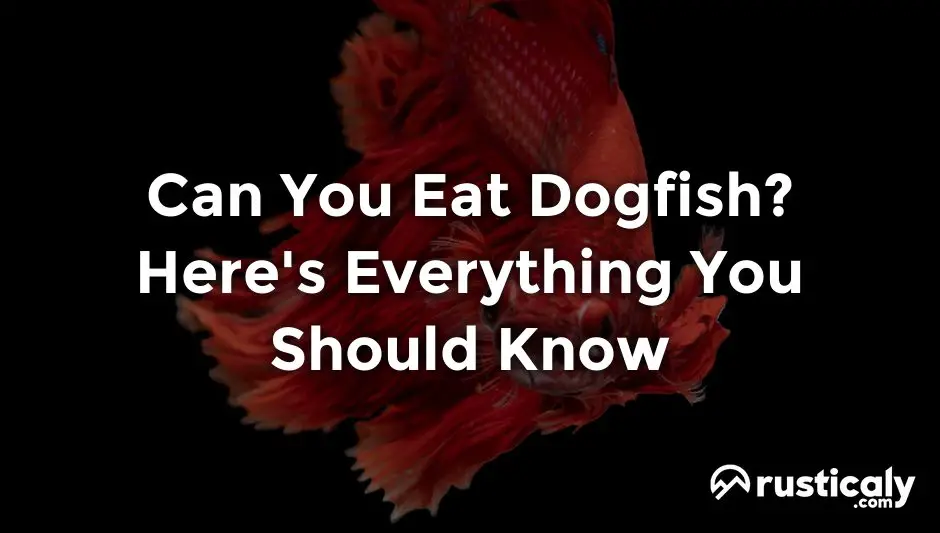 can you eat dogfish