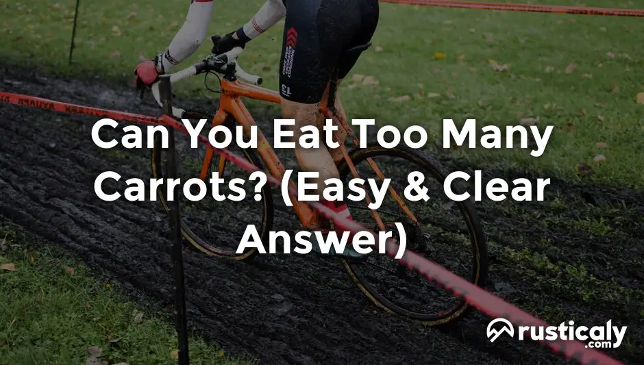 can you eat too many carrots