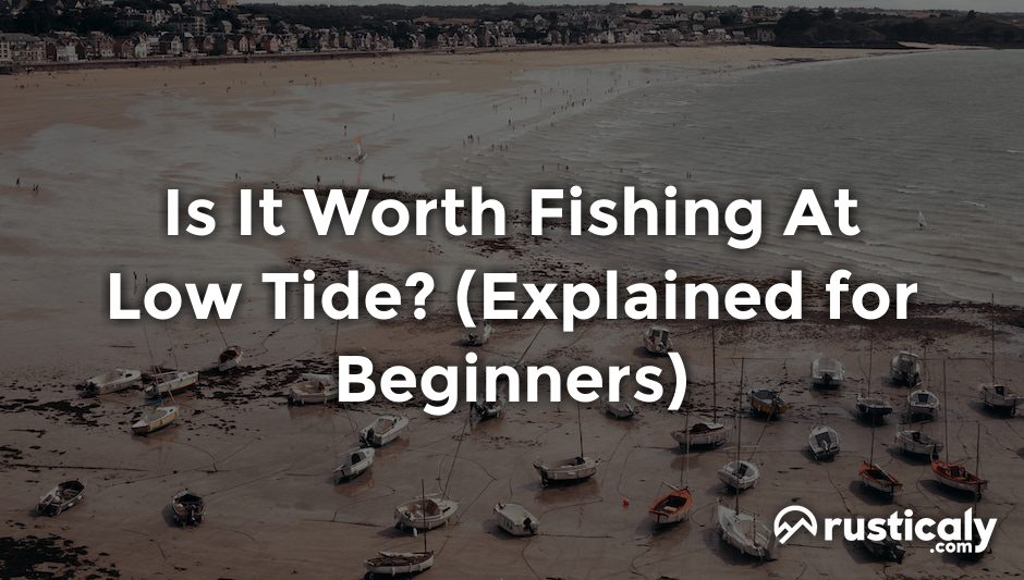 is it worth fishing at low tide