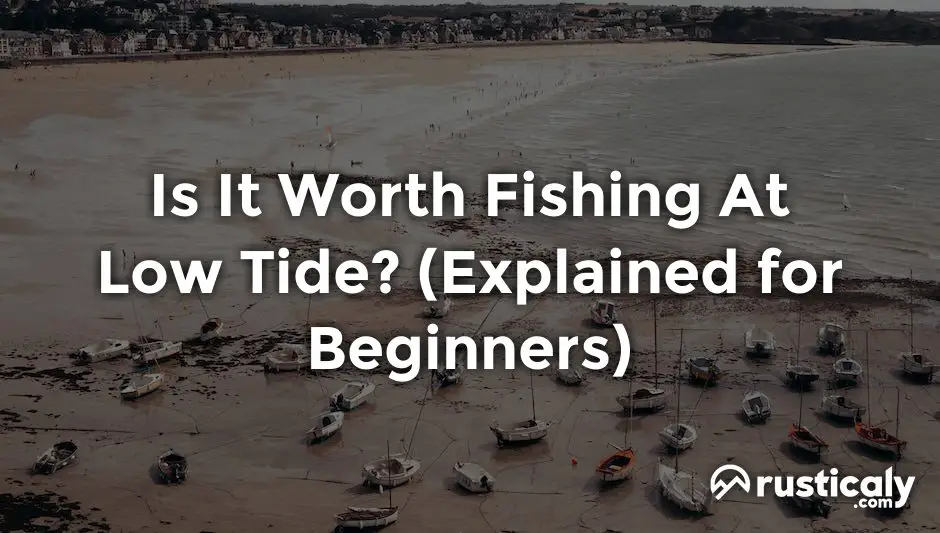 Is It Worth Fishing At Low Tide? (Easy & Clear Answer)