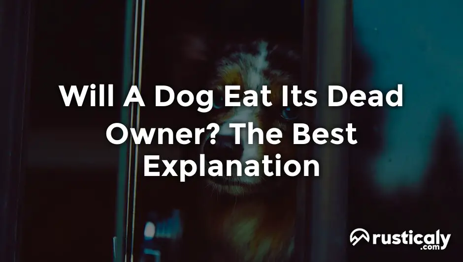will a dog eat its dead owner