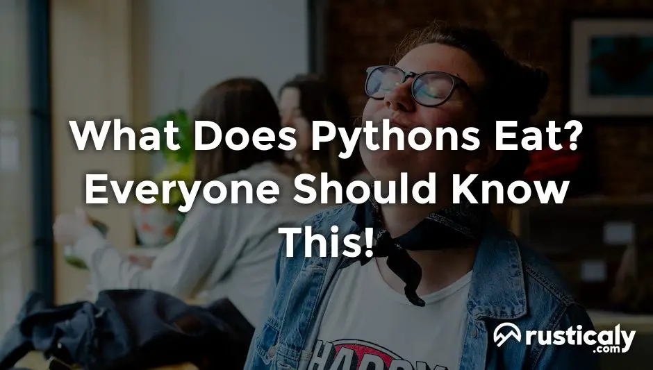 what does pythons eat