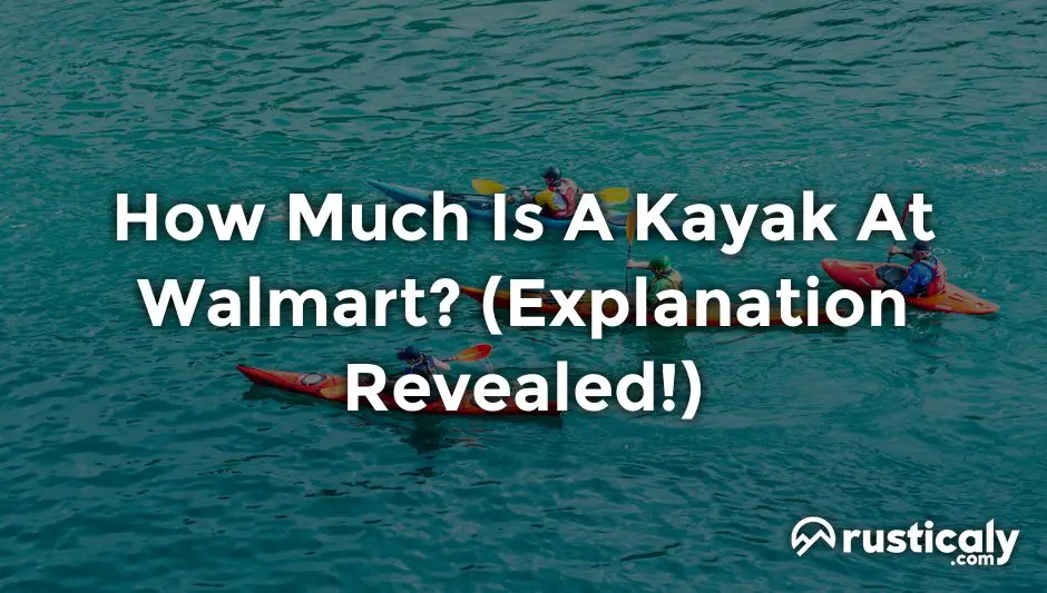 How Much Is A Kayak At Walmart? The Best Explanation