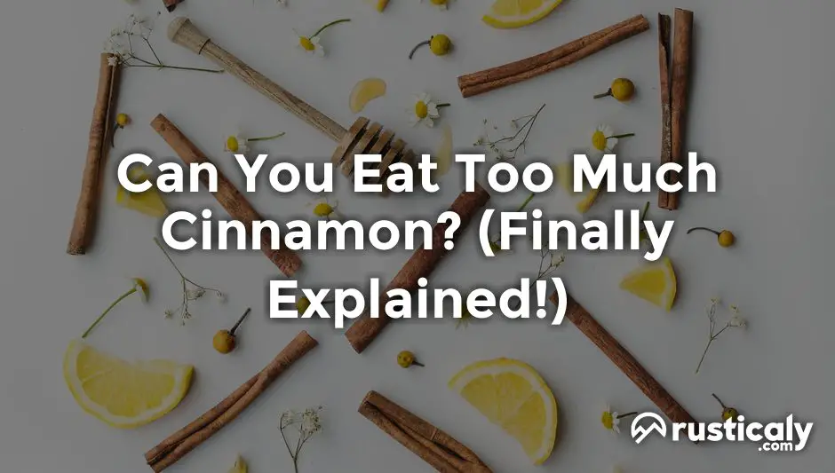 can you eat too much cinnamon