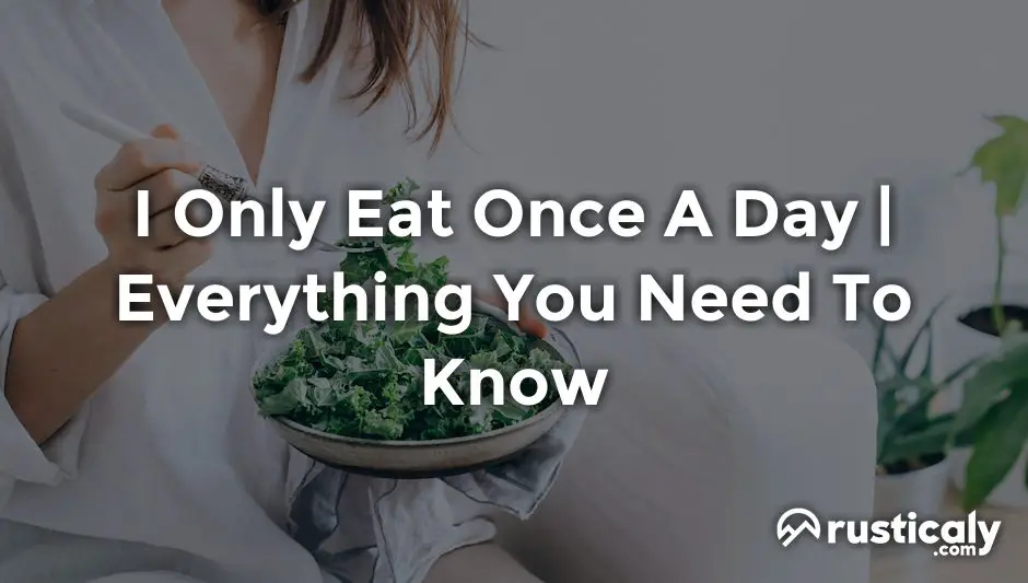 I Only Eat Once A Day With The Clearest Explanation i-only-eat-once-a-day-with-the-clearest-explanation