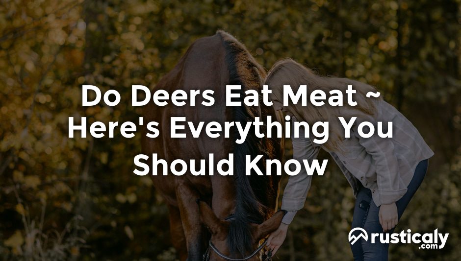 do deers eat meat