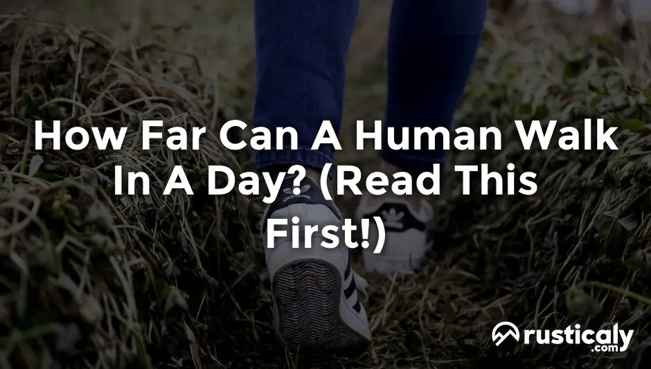 how far can a human walk in a day