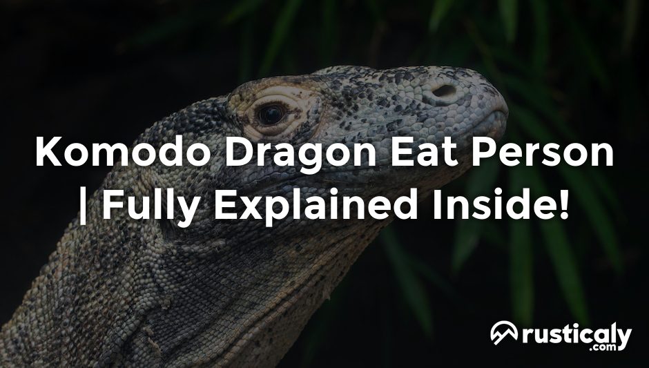 komodo dragon eat person