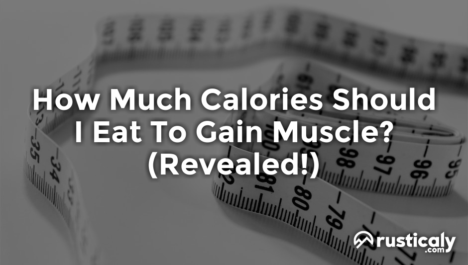 how much calories should i eat to gain muscle