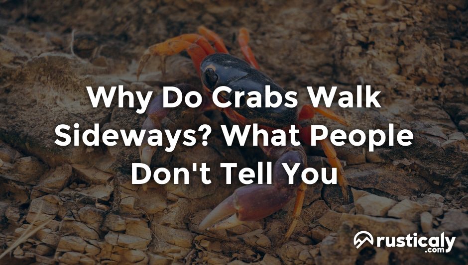 why do crabs walk sideways