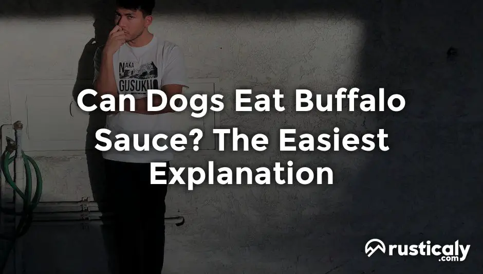 can dogs eat buffalo sauce