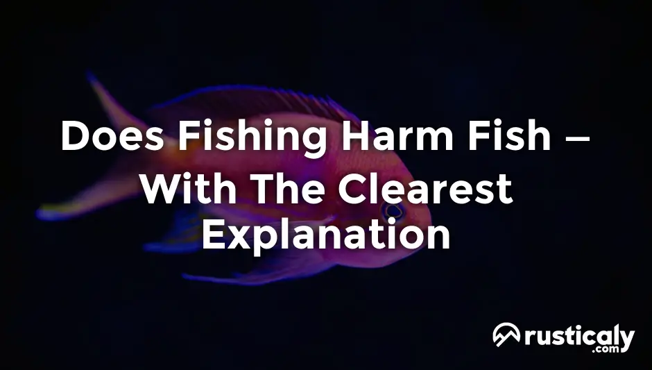 does fishing harm fish