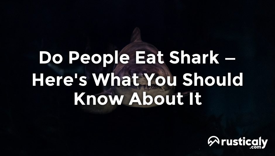 do people eat shark