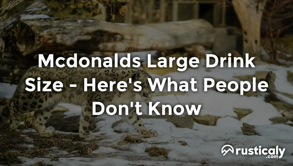 mcdonalds large drink size