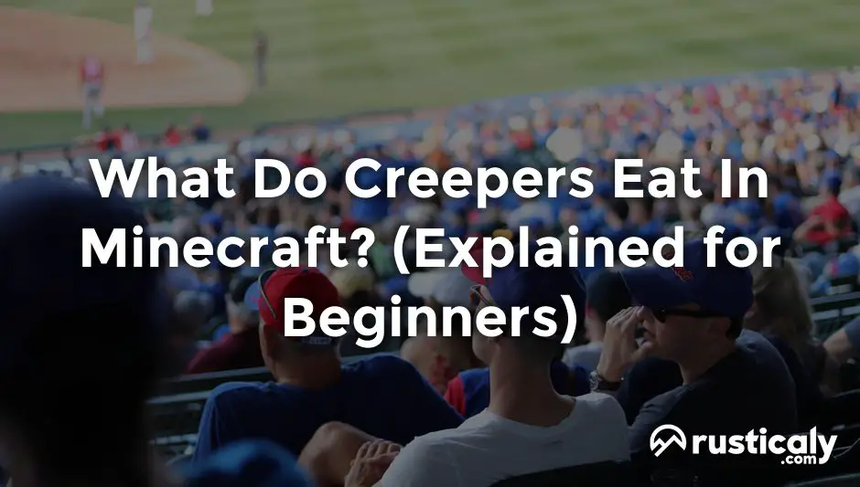 what do creepers eat in minecraft