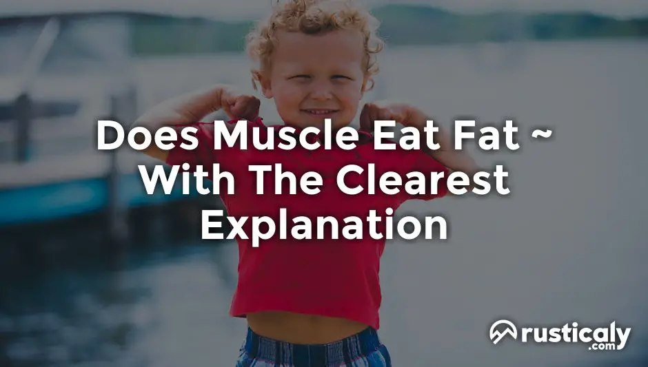 does muscle eat fat
