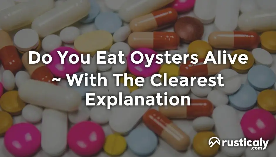 do you eat oysters alive