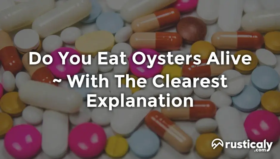 Do you eat oysters alive fully explained inside 