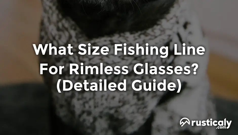 What Size Fishing Line For Rimless Glasses? (Helpful Examples)
