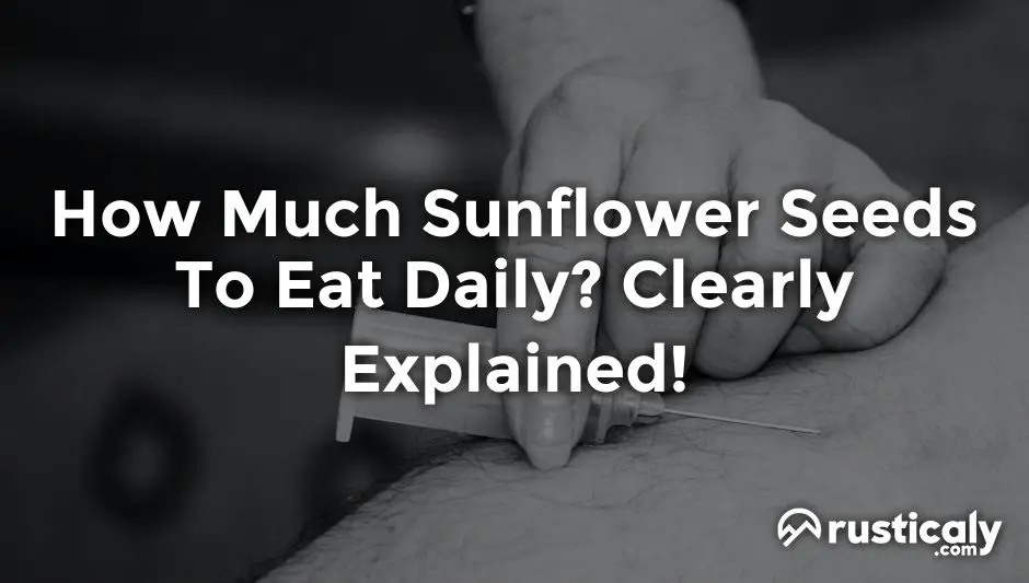 how much sunflower seeds to eat daily