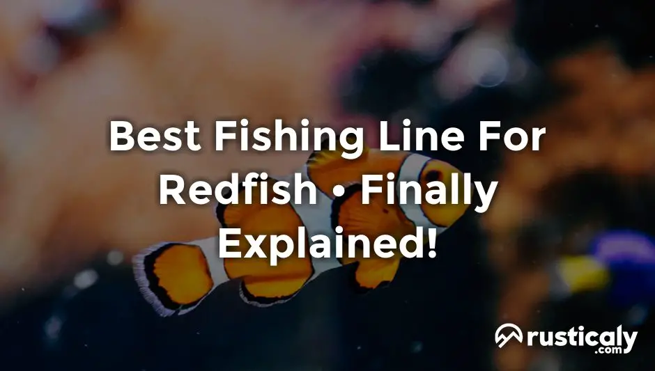 best fishing line for redfish