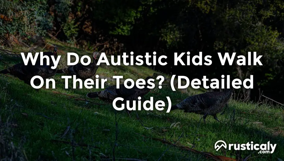 why do autistic kids walk on their toes