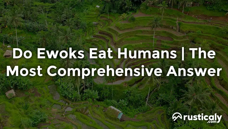 do ewoks eat humans