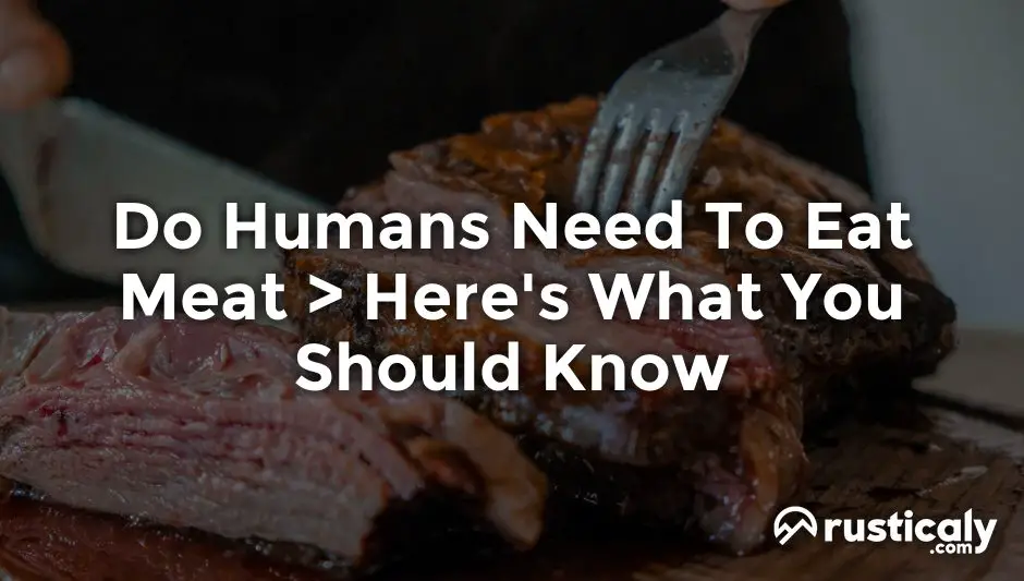 do humans need to eat meat